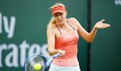 Tennis: Sharapova withdraws from Rogers Cup; Pliskova now among top-10