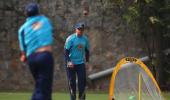 Mike Young returns as Australia's fielding coach