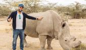 Rohit joins Hollywood stars in Kenya's anti-poaching campaign