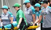 Women's BBL star Dottin hospitalised after on-field head clash