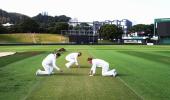 'The wicket at Basin Reserve looks like it might do a bit'