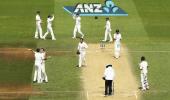 1st Test, PHOTOS: Australia 'outplay' New Zealand to secure innings win