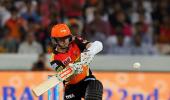 Classy Williamson stands out amid IPL binge-hitting