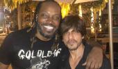 Universe Boss Gayle shares picture with SRK