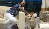 PIX: Dhawan welcomes two new 'family members'