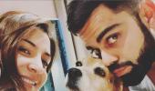 Kohli, Anushka mourn loss of pet dog Bruno