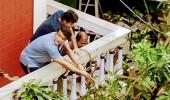 PIX: Ganguly fixes tree damaged by cyclone Amphan