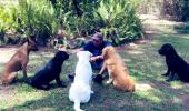 Shastri's 'social distancing' with dogs goes viral