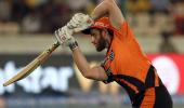 There is apprehension: Williamson ahead of IPL