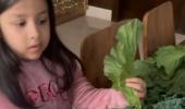 Ziva Dhoni shows veggies from her farm