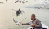 Dhawan feeds birds; fans remind him of bird flu