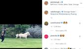 Dhoni races pet pony: Who won?