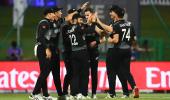 Williamson expects clash of styles in T20 WC final