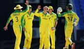 U-19 WC: Australia down Pakistan to reach semis