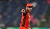 SRH skipper Williamson flies home for birth of child