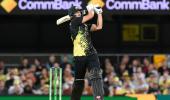 Warner hails 'godsend' Tim David after Brisbane blitz