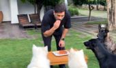 SEE: Dhoni Celebrates Birthday With...