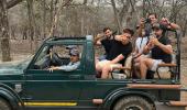 SEE: Gujarat Titans' Ranthambore Visit