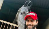 Jadeja's Horse Loves 'Posing'