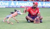 Champak takes IPL to Court over robo dog name