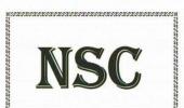The benefits of investing in NSCs