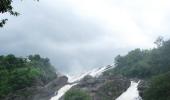 Reader pics: India's wealth of natural wonders
