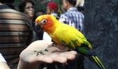 Best pics 2010: A bird in the hand...