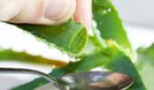 The many health benefits of aloe vera