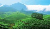 Munnar second-best Asian travel destination for 2010