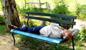 Unusual summer pics: Snoozing on a park bench!