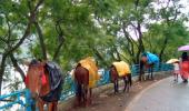 Unusual monsoon pics: Horses in rainwear!