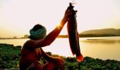 Best pics 2010: Day's first catch