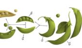 Google doodles father of genetics Gregor Mendel