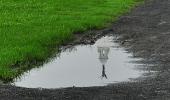 Unusual monsoon pics: Royal reflection
