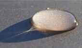 Unusual summer pics: Even dewdrops cast a shadow!