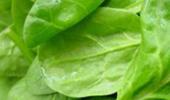 Superfoods to control acidity