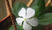 Share your one-of-a-kind monsoon pics with us!