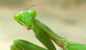 Reader's take: Why I love macro photography