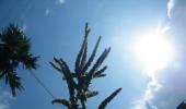 Unusual summer pics: Bright, hot and beautiful