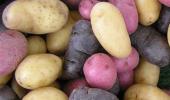 Health benefits of eating potatoes