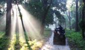 Unusual summer pics: Ray of light