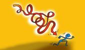 Want to succeed? Run towards fear