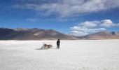 Riding solo to Ladakh's Chang pa nomads