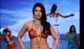 Sonam, Lara, Shriya: VOTE for the hottest showstopper!