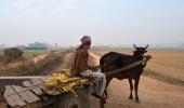 1406 km through Punjab: In the city of the magician