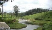 PICS: Make the most of 24 hours in Ooty