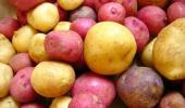 Potato talk: From health benefits to recipes!