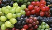 REVEALED: The secret superpower of grapes