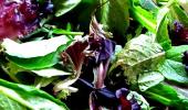 TOP 11: Super foods for weight loss