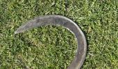 Quiz: Identify the object in the picture